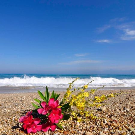 Almyra Beach House Corfu Almiros strand Buitenkant foto